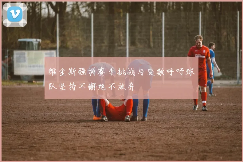维金斯强调赛季挑战与变数呼吁球队坚持不懈绝不放弃